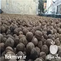 خرید گردو و مغز گردو تویسرکان در همدان در گروه خرید و فروش گردو در یکمیوه