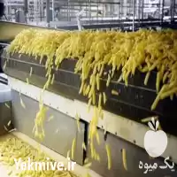 تولید خلال سیب زمینی منجمد فرنچ در اصفهان در گروه خرید و فروش سیب زمینی در یکمیوه