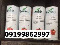 بذر گوجه فرنگی 8320 در گروه خرید و فروش بذر گوجه در یکمیوه