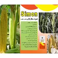خرید بذر ذرت علوفه ای سیمون در گروه خرید و فروش بذر ذرت در یکمیوه