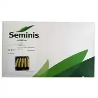 بذر ذرت مریت با قیمت مناسب در هرمز در گروه خرید و فروش بذر ذرت در یکمیوه