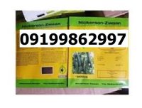 بذر خیار کیهان در گروه خرید و فروش بذر خیار در یکمیوه