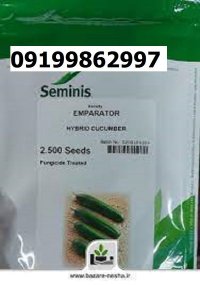 بذر خیار امپراطور در اهواز در گروه خرید و فروش بذر خیار در یکمیوه