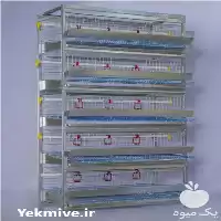 خرید مستقیم قفس بلدرچین قفس مرغ در گروه تجهیزات مرغداری در یکمیوه