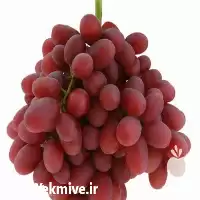خرید قیمت نهال انگور کریمسون در آذربایجان غربی در گروه خرید و فروش نهال انگور در یکمیوه