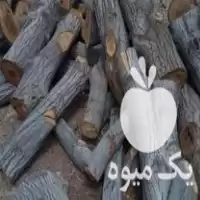چوب گردو سایز پانزده تا چهل در شیراز در گروه خرید و فروش انواع چوب در یکمیوه