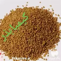 فروش بذر یونجه اصلاح شده در لرستان در گروه خرید و فروش بذر یونجه در یکمیوه