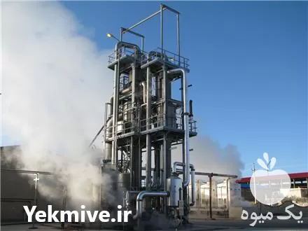 خط کامل تولید رب گوجه فرنگی در گروه خرید و فروش رب در یکمیوه -عکس1