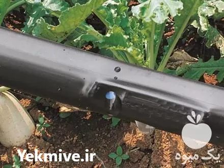 فروش لوله آبیاری قطره ای در گروه خرید و فروش دستگاه آبیاری در یکمیوه -عکس1