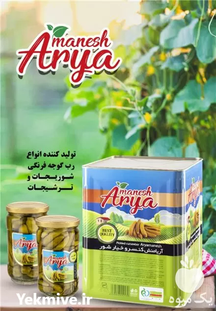 فروش خیارشور شیشه در شیراز در گروه محصولات ترشی در یکمیوه -عکس1