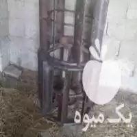 جفت پره موتور تیلر کشاورزی میتسوبیشی در گروه خرید و فروش موتور کشاورزی در یکمیوه