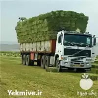 خرید یونجه مرغوب و کلش گندم در همدان در گروه خوراک دام و طیور در یکمیوه