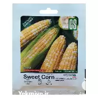 فروش بذر ذرت شیرین گرین سید در گروه خرید و فروش بذر ذرت در یکمیوه