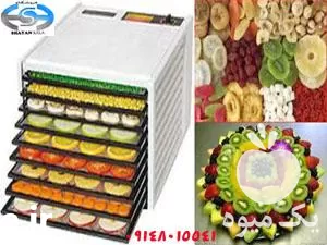 چیپس کن میوه فروش شایان کالا در ارومیه در گروه خشک کن در یکمیوه -عکس1