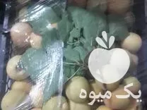 خرید زردآلو خربزه جانا شمام ملون در فسا در گروه خرید و فروش ملون در یکمیوه -عکس1