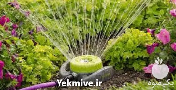 آبیاری هوشمند و اتوماتیک در مازندران در گروه خرید و فروش اتصالات و تجهیزات آبیاری در یکمیوه -عکس1