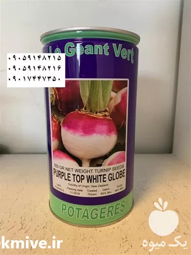 قیمت خرید بذر شلغم قرمز در گروه خرید و فروش انواع بذر در یکمیوه -عکس1