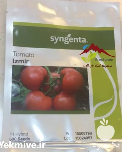 خرید عرضه توزیع بذر ازمیر گوجه در گروه خرید و فروش بذر گوجه در یکمیوه -عکس1