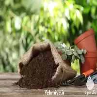 خرید ارسال کود گاوی با کامیون در تهران در گروه خرید و فروش کود گاوی در یکمیوه