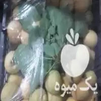 خرید زردآلو خربزه جانا شمام ملون در فسا در گروه خرید و فروش ملون در یکمیوه