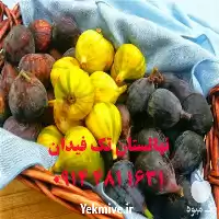 خرید و قیمت نهال انجیر زرد در آذربایجان غربی در گروه خرید و فروش نهال در یکمیوه
