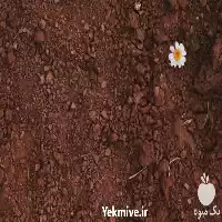 قیمت خرید انواع خاک کوکوپیت در تهران در گروه خرید و فروش انواع کود کشاورزی در یکمیوه