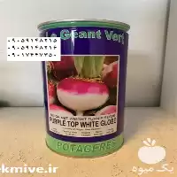 قیمت خرید بذر شلغم قرمز در گروه خرید و فروش انواع بذر در یکمیوه