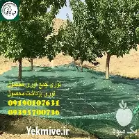 قیمت خرید توری جمع اوری محصول در مشهد در گروه خرید و فروش توری گلخانه در یکمیوه