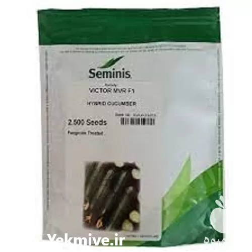 قیمت خرید بذر خیار ویکتوریا در فارس در گروه خرید و فروش بذر خیار در یکمیوه -عکس1