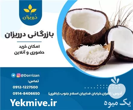 فروش عمده پودر نارگیل چرب در تهران در گروه خرید و فروش نارگیل آناناس در یکمیوه -عکس1