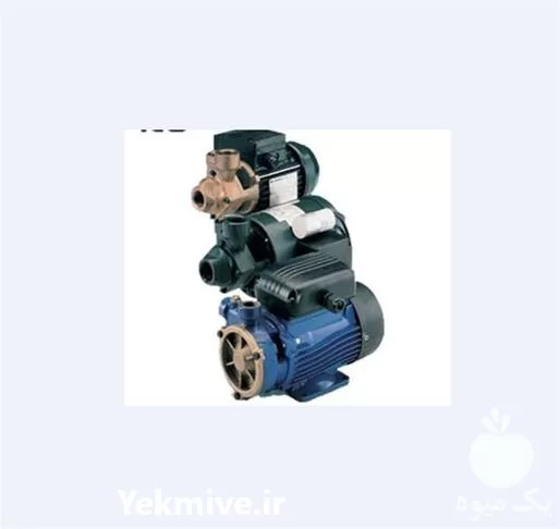 قیمت خرید موتور پمپ سطحی P در گروه خرید و فروش پمپ کشاورزی در یکمیوه -عکس1