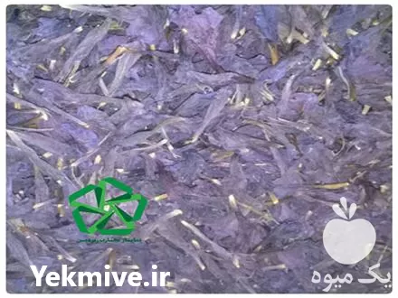 فروش عمده گیاه گل گاوزبان پایار در بروجرد در گروه خرید و فروش گیاهان دارویی در یکمیوه -عکس1