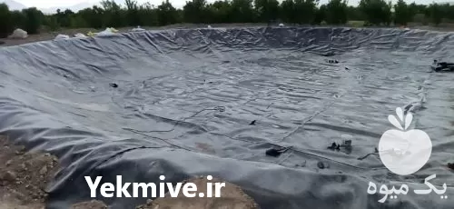 خرید احداث استخرهای پلیمری با ورق در گروه خرید و فروش ژئوممبران در یکمیوه -عکس1