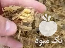 خوراک دام علوفه سیلو ذرت بسته در تهران در گروه خوراک دام و طیور در یکمیوه -عکس1