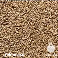 دان جوجه و دان پرندگان زینتی در زنجان در گروه خوراک دام و طیور در یکمیوه