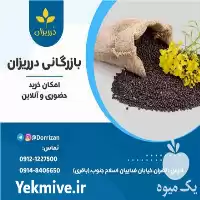 خرید عمده دانه کلزا روغن کلزا در تهران در گروه خرید و فروش انواع روغن در یکمیوه