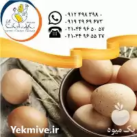 صادرات تخم مرغ خوراکی محلی سابین در تهران در گروه انواع تخم ها در یکمیوه