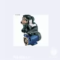 قیمت خرید موتور پمپ سطحی P در گروه خرید و فروش پمپ کشاورزی در یکمیوه