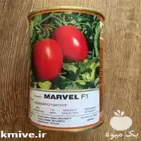 فروش بذر گوجه فرنگی مارول در گروه خرید و فروش بذر گوجه در یکمیوه