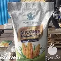 فروش ویژه بذر ذرت ماکسیما در همدان در گروه خرید و فروش بذر ذرت در یکمیوه