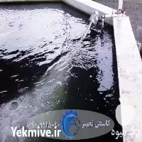 قیمت خرید هواده ایرجت در آمل در گروه خرید و فروش تجهیزات ماهی در یکمیوه