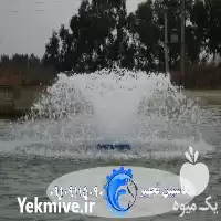 فروش هواده اسپلش در آمل در گروه خرید و فروش تجهیزات ماهی در یکمیوه