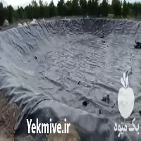 خرید احداث استخرهای پلیمری با ورق در گروه خرید و فروش ژئوممبران در یکمیوه