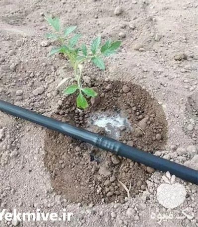 قیمت خرید قیمت نوار تیپ در گروه خرید و فروش نوار تیپ در یکمیوه -عکس1