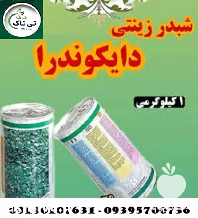 قیمت خرید بذر چمن شبدری دایکوندرا در همدان در گروه خرید و فروش بذر چمن در یکمیوه -عکس1