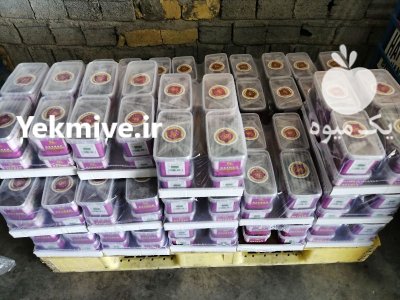 فروش خرما کبکاب خشت در شیراز در گروه خرید و فروش خرما در یکمیوه -عکس3