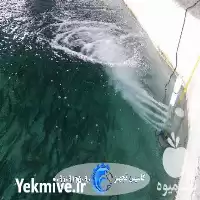 قیمت خرید هواده ونچوری در آمل در گروه خرید و فروش تجهیزات ماهی در یکمیوه