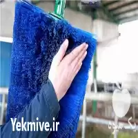 قیمت خرید دستگاه قشو گاوداری در همدان در گروه تجهیزات دامداری در یکمیوه