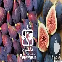 قیمت خرید نهال انجیر بلک میشن در کرمانشاه در گروه خرید و فروش نهال در یکمیوه