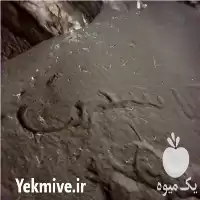 فروش کود خفاش در تهران در گروه خرید و فروش کود خفاش در یکمیوه